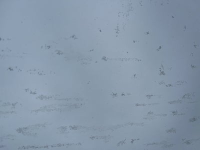 2010 Toyota Prius III