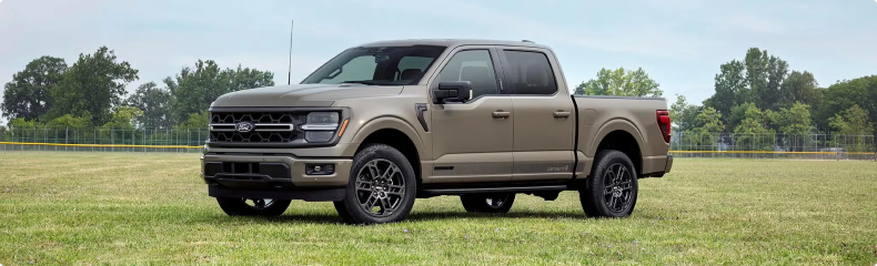 Tan Ford F-150 SuperCrew parked on a grass field