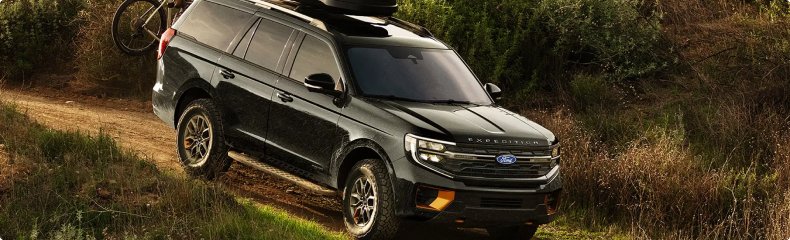 Expedition or Expedition MAX